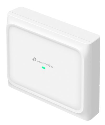 TP-Link Omada EAP650 D30 Outdoor Access Point