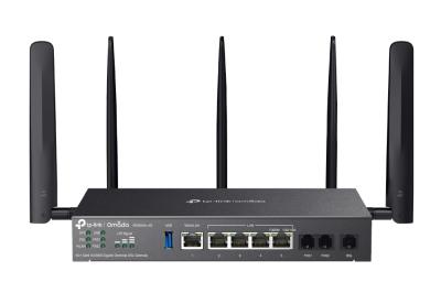TP-Link Omada DR3650V-4G
